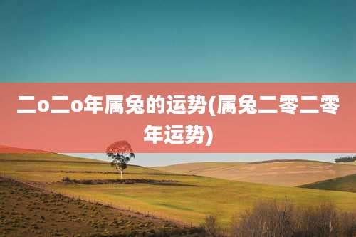 二o二o年属兔的运势(属兔二零二零年运势)