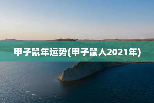 甲子鼠年运势(甲子鼠人2021年)