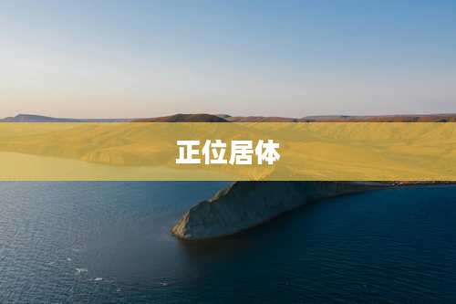 正位居体