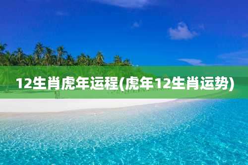12生肖虎年运程(虎年12生肖运势)
