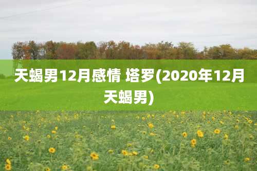 天蝎男12月感情 塔罗(2020年12月天蝎男)