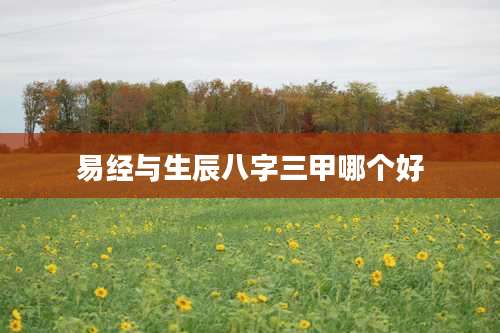 易经与生辰八字三甲哪个好