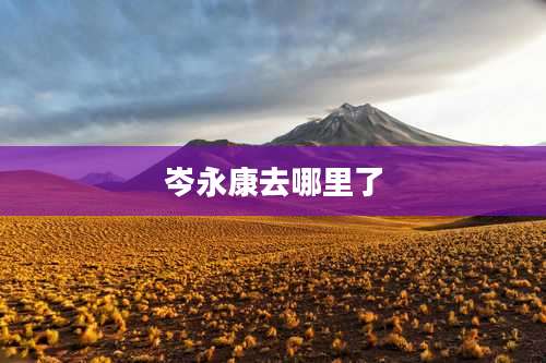 岑永康去哪里了