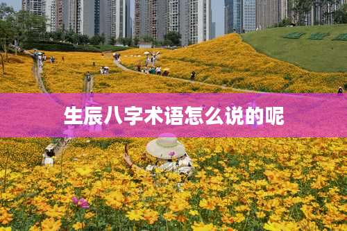 生辰八字术语怎么说的呢