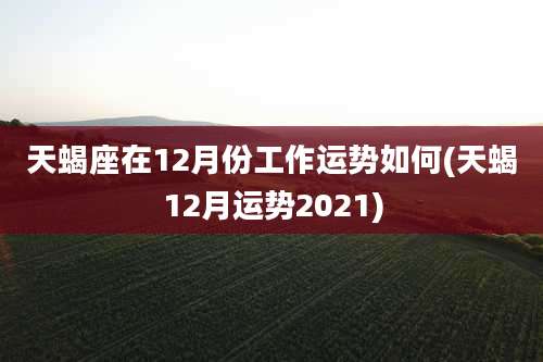 天蝎座在12月份工作运势如何(天蝎12月运势2021)
