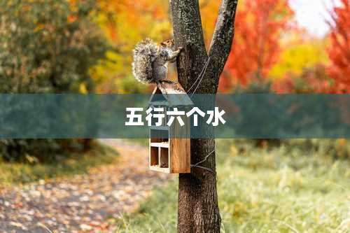 五行六个水