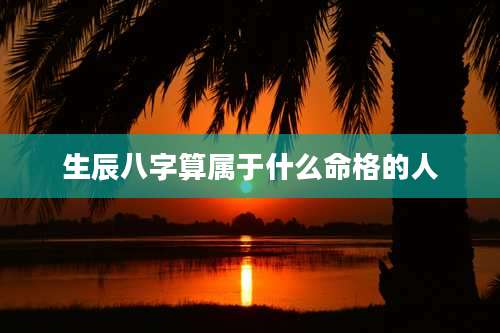 生辰八字算属于什么命格的人