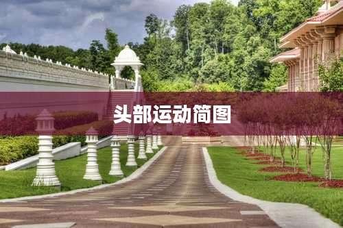 头部运动简图