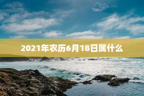 2021年农历6月18日属什么