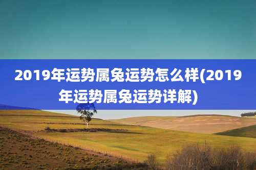 2019年运势属兔运势怎么样(2019年运势属兔运势详解)