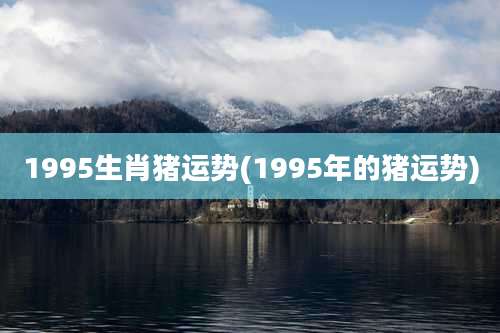 1995生肖猪运势(1995年的猪运势)