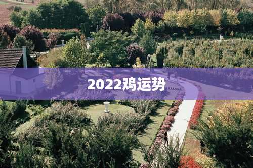 2022鸡运势