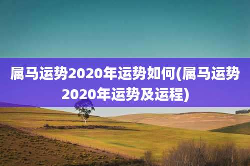 属马运势2020年运势如何(属马运势2020年运势及运程)