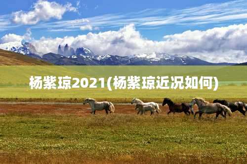 杨紫琼2021(杨紫琼近况如何)