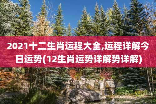 2021十二生肖运程大全,运程详解今日运势(12生肖运势详解势详解)