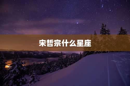 宋哲宗什么星座