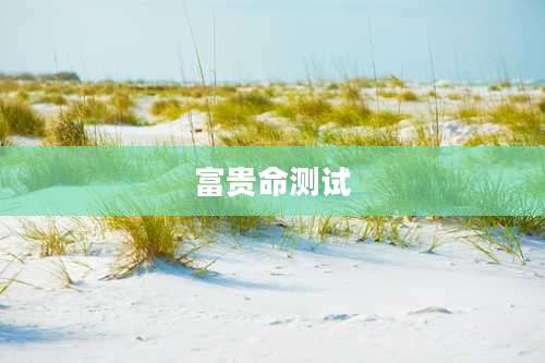 富贵命测试