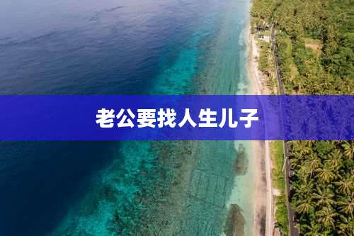 老公要找人生儿子