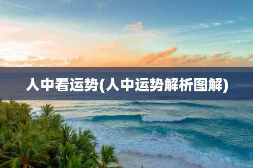 人中看运势(人中运势解析图解)