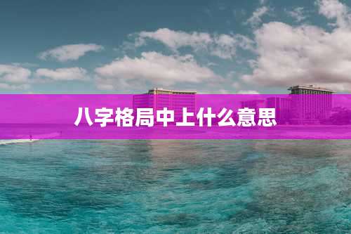 八字格局中上什么意思