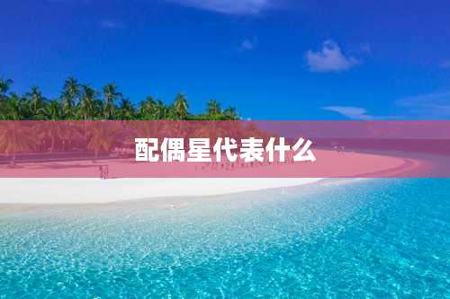 配偶星代表什么