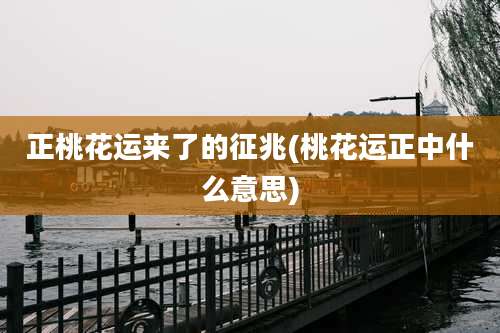 正桃花运来了的征兆(桃花运正中什么意思)