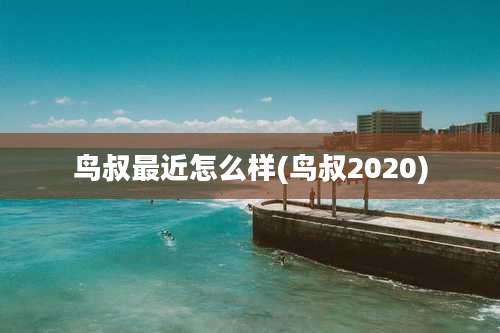 鸟叔最近怎么样(鸟叔2020)