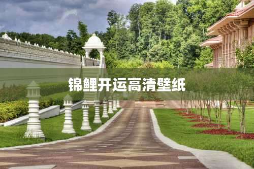 锦鲤开运高清壁纸