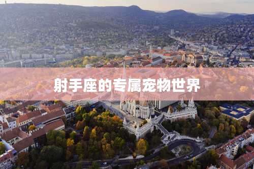 射手座的专属宠物世界