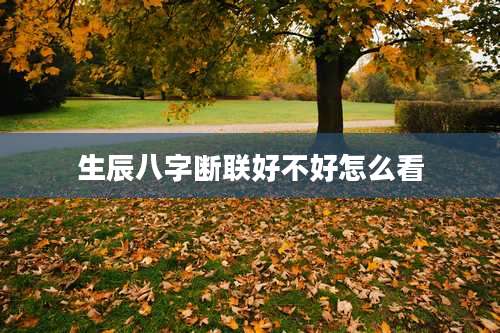 生辰八字断联好不好怎么看