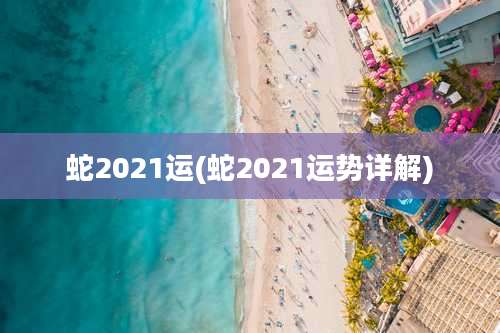蛇2021运(蛇2021运势详解)