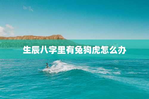 生辰八字里有兔狗虎怎么办