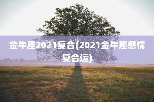 金牛座2021复合(2021金牛座感情复合运)