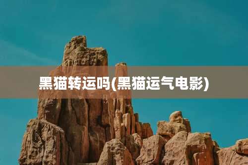 黑猫转运吗(黑猫运气电影)