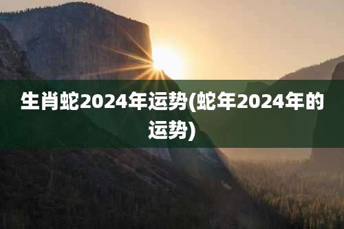 生肖蛇2024年运势(蛇年2024年的运势)