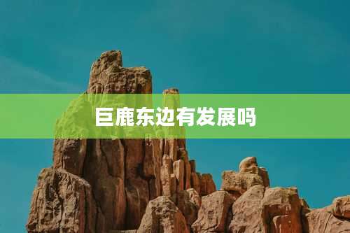 巨鹿东边有发展吗