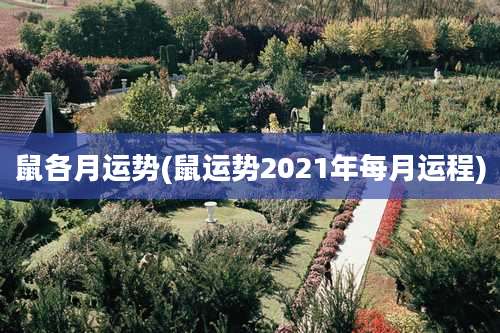 鼠各月运势(鼠运势2021年每月运程)