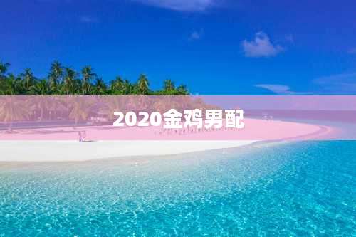 2020金鸡男配
