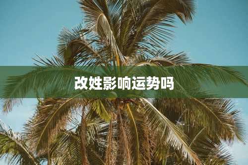 改姓影响运势吗