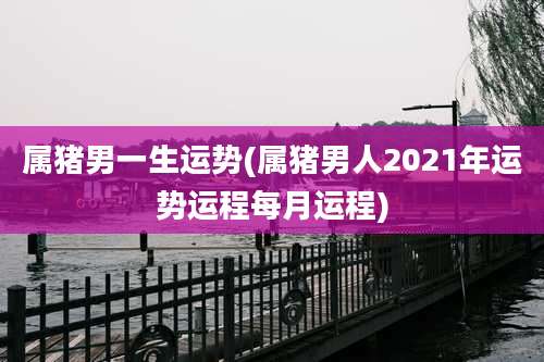 属猪男一生运势(属猪男人2021年运势运程每月运程)