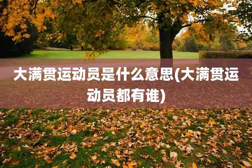 大满贯运动员是什么意思(大满贯运动员都有谁)