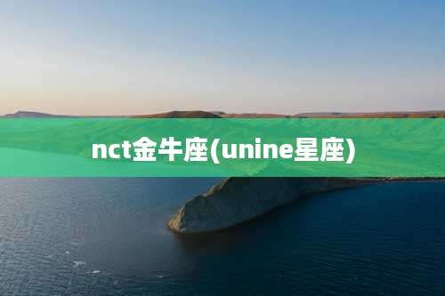 nct金牛座(unine星座)
