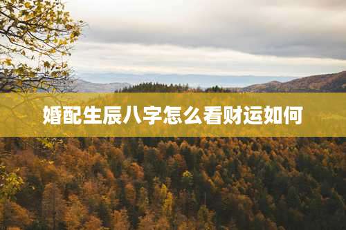婚配生辰八字怎么看财运如何