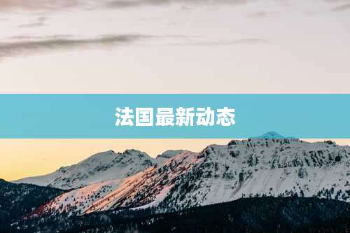 法国最新动态