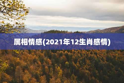 属相情感(2021年12生肖感情)