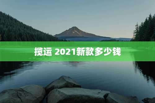 揽运 2021新款多少钱
