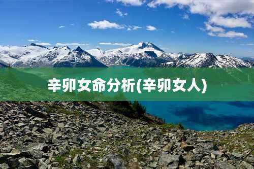 辛卯女命分析(辛卯女人)