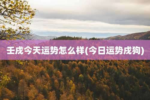 壬戌今天运势怎么样(今日运势戌狗)