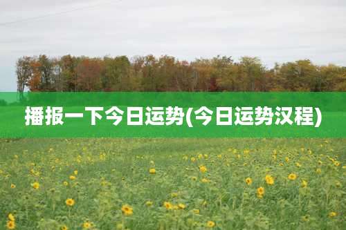 播报一下今日运势(今日运势汉程)