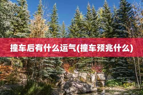 撞车后有什么运气(撞车预兆什么)